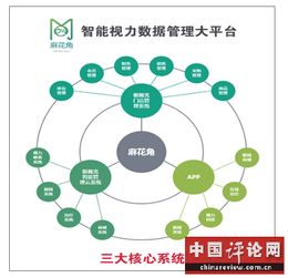 合肥市翔创智能科技 物联网技术服务，赋能智慧未来